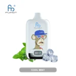 Fumot 12000 Cool Mint Produktfoto